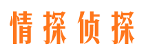 高坪市侦探调查公司